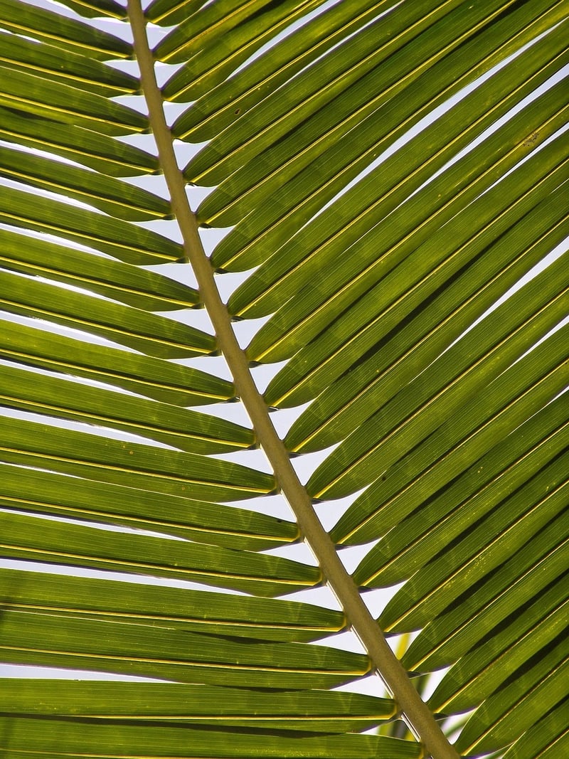 Eco-Friendly Decor